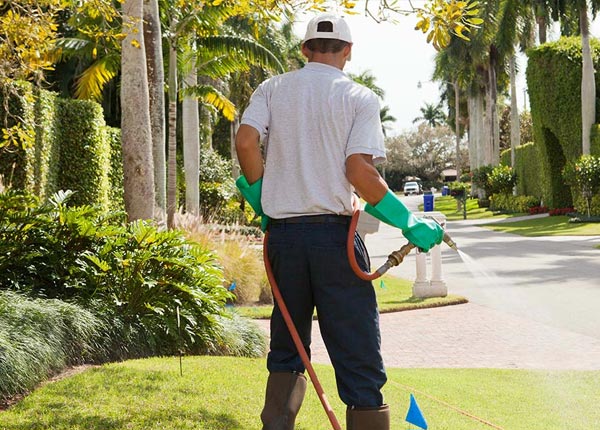 About Stotts City MO Pest Control